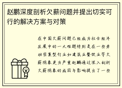 赵鹏深度剖析欠薪问题并提出切实可行的解决方案与对策