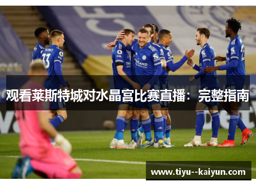 观看莱斯特城对水晶宫比赛直播：完整指南