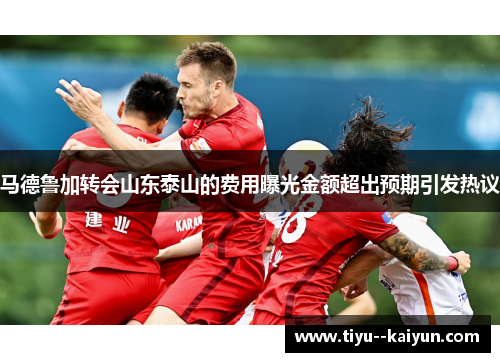 马德鲁加转会山东泰山的费用曝光金额超出预期引发热议